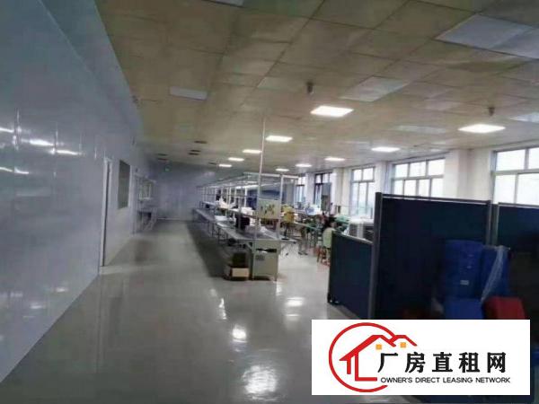  田饶步出租新空出一楼1250平方带装修办公室厂房