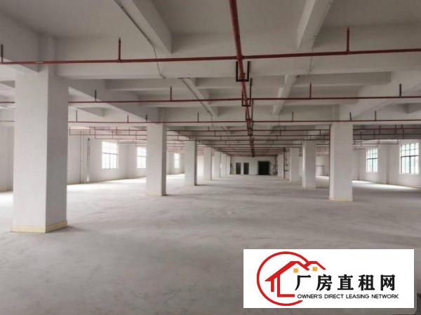  月塘可办环评全新厂房房东分租500平方