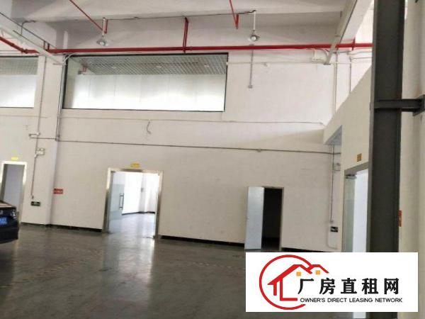  隔坑新出一楼厂房2500平，实际面积
