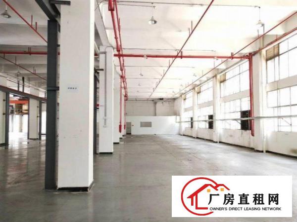  隔坑新出一楼厂房2500平，实际面积