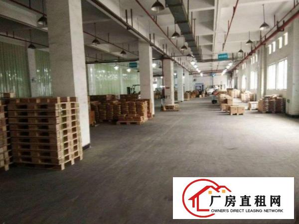  村尾新出一楼厂房500平方招租原房东，可办环评