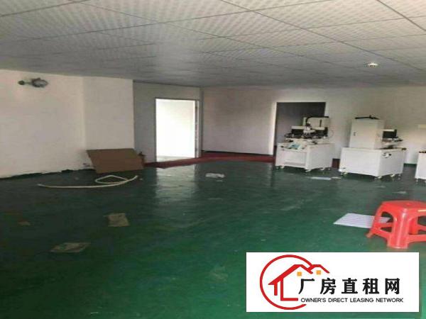  横沥水边新出1000平方带无尘车间厂房出租
