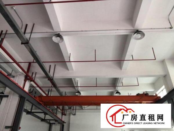  出租横沥镇东兴工业区