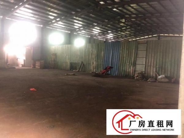  横沥原房东大路独栋钢构单一层滴水7米厂房出租