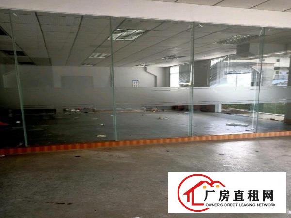  横沥原房东标准独院出租