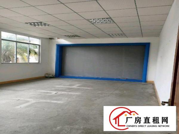  横沥原房东标准独院出租