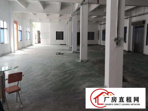  横沥汽车站新出独院3800平方招租【实际面积300起分】