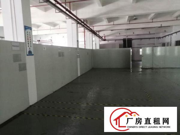  石涌工业区标准厂房，内置消防雨淋。