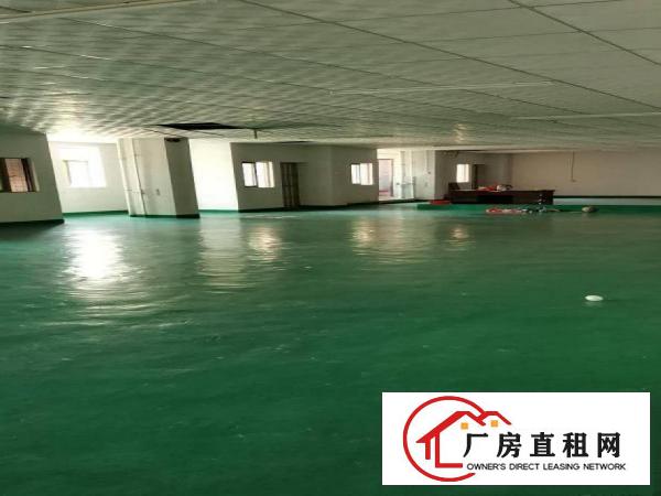  横沥镇可以做口罩厂房正宗无尘车间1200平方楼上厂房可以分租