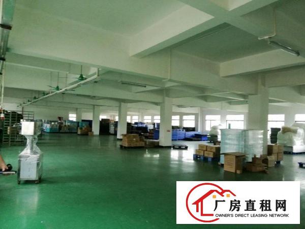  横沥镇新出原房东标准独院厂房，一楼6米高，可分租