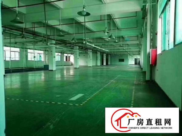  横沥镇新出原房东标准独院厂房，一楼6米高，可分租