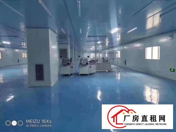  独门独院标准厂房现成无尘车间豪华装修办公室租金便宜厂房出租