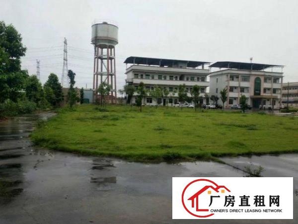  石涌厂房1400平出租带房产证，可做小污染包办环评