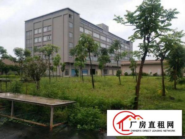  石涌厂房1400平出租带房产证，可做小污染包办环评