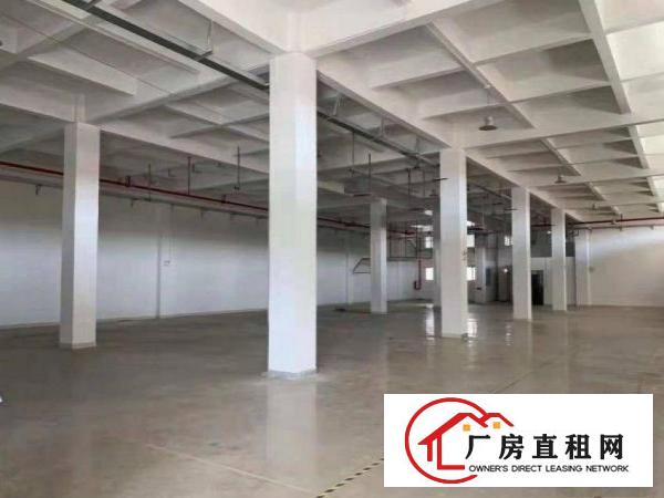  石涌厂房1400平出租带房产证，可做小污染包办环评