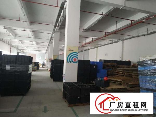  原房东独院标准厂房，形象漂亮！