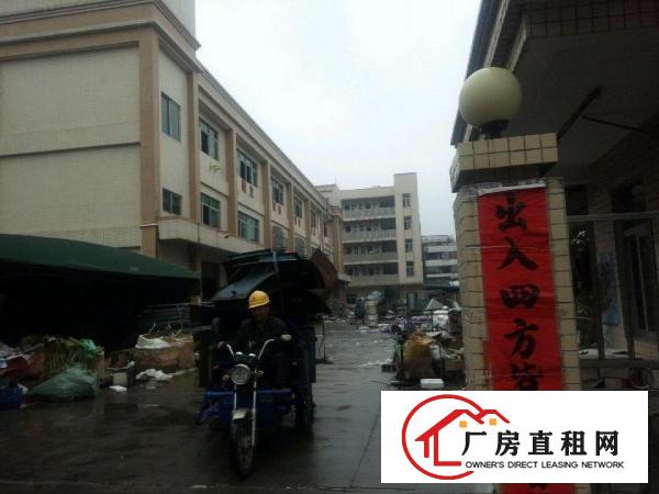  横沥喷油环评标准厂房6000平方豪华装修大空地