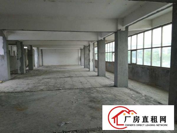  15元招租一一横沥原房东独栋全新工业厂房3750平方