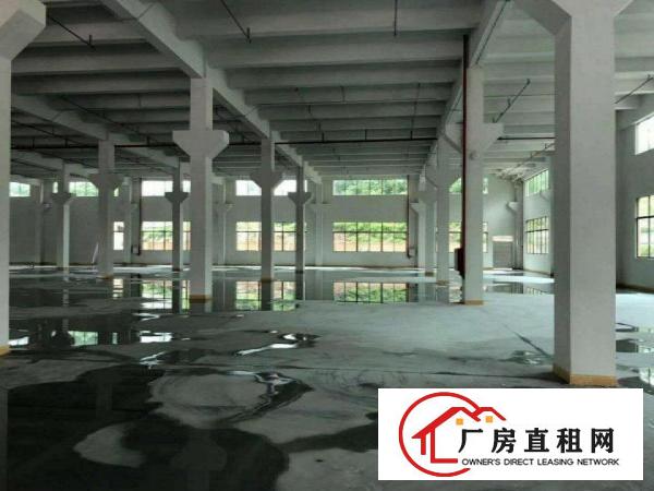  15元招租一一横沥原房东独栋全新工业厂房3750平方