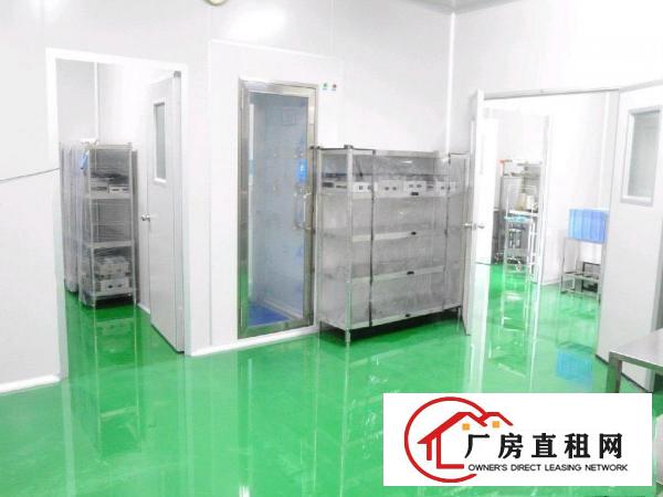  东莞高洁净度无尘车间招租