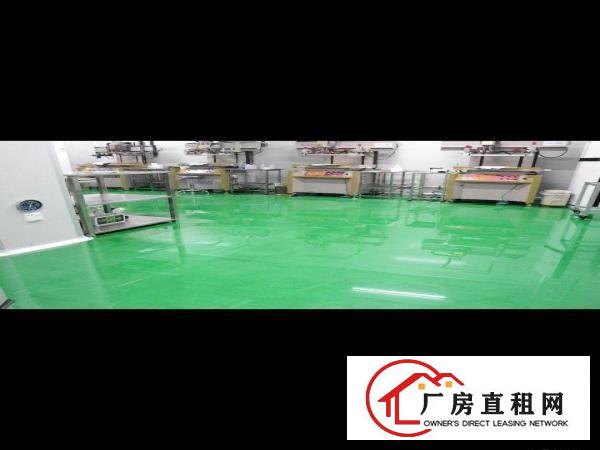  东莞高洁净度无尘车间招租