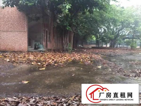  横沥东兴工业区独院单一层钢构工业厂房共5000平招租（可分）
