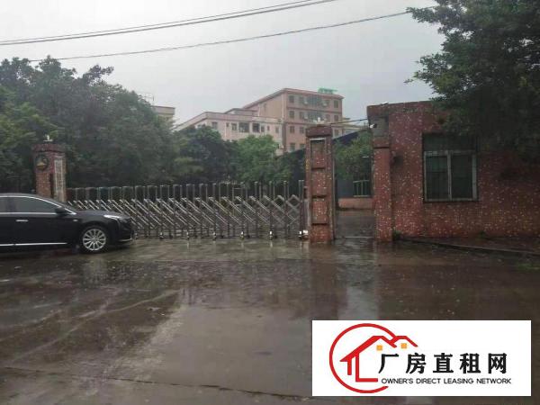  横沥东兴工业区独院单一层钢构工业厂房共5000平招租（可分）