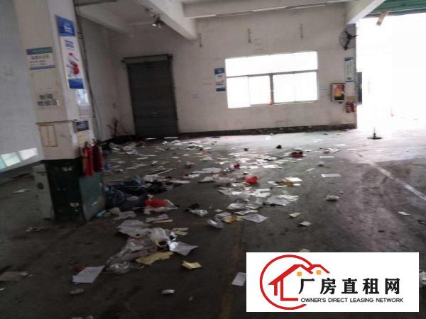  横沥三江业园原房东独院工业厂房500平起招租