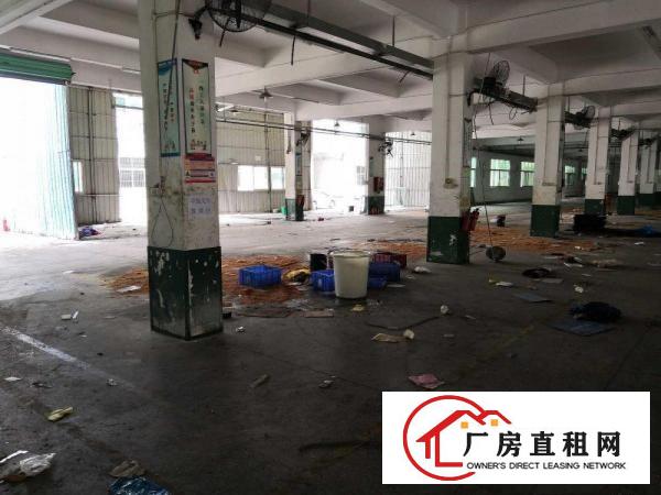  横沥三江业园原房东独院工业厂房500平起招租