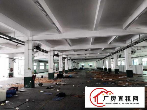  横沥三江业园原房东独院工业厂房500平起招租