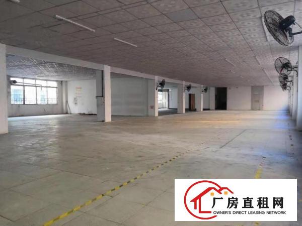  横沥河畔工业区独院工厂房3600平招租（电630KVA）