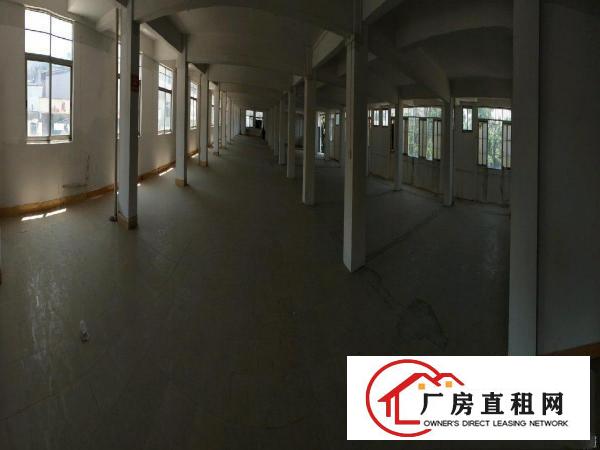  横沥镇真正高大尚的厂房，正式招租了，看得上，房东就租！
