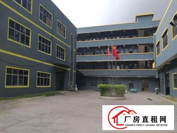  出租横沥高逼格全新翻新工业厂房整层1200起招商