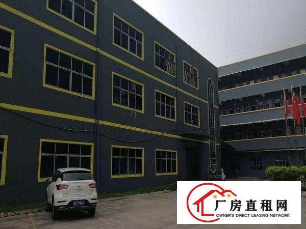  出租横沥高逼格全新翻新工业厂房整层1200起招商