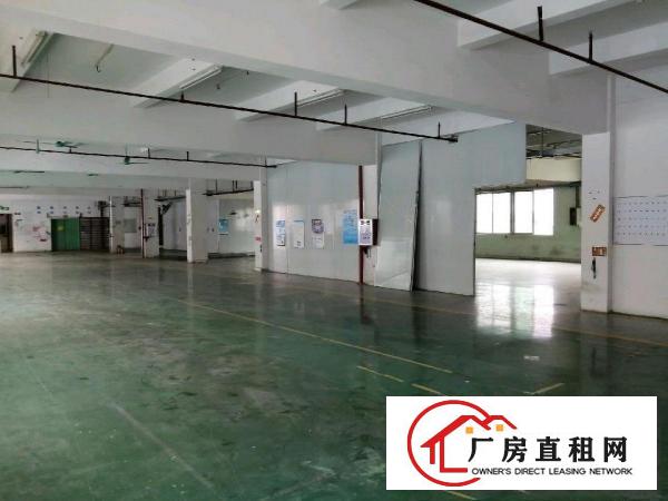  4500平方独院标准厂房出租