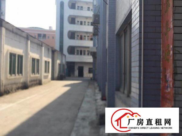  原房东独门独院厂房，整层出租可分租