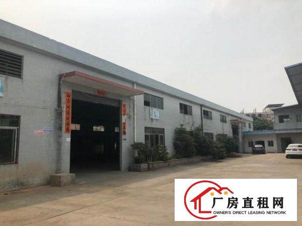  横沥镇单独单一层厂房招租