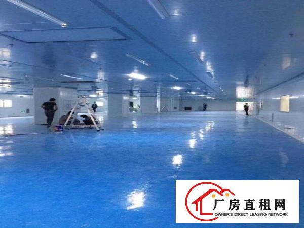  出租横沥镇东兴工业区出租横沥镇三江工业区出租水电到位1500