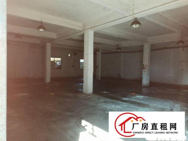  横沥隔坑独院单一层2126平，可办环评环境好方便出租