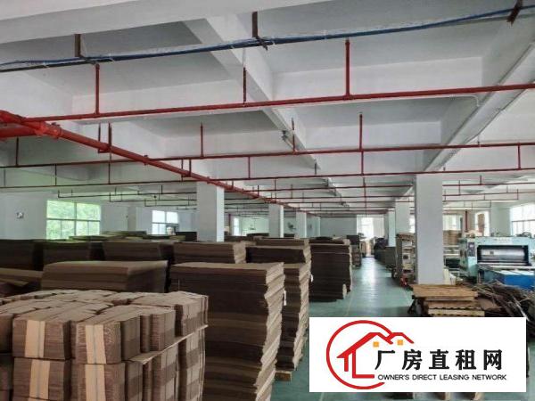  张坑（8米高带环评）标准一楼厂房2500平原房东