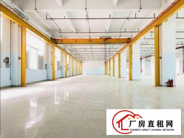  张坑（8米高带环评）标准一楼厂房2500平原房东