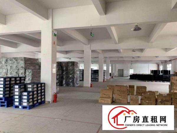  隔坑现成装修标准厂房4000平方，价格便宜