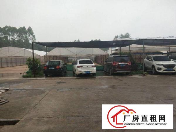  张坑原房东标准一楼整层1280平方出租门口空地2700
