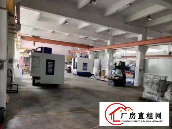  长巷免押金出租常平原房东3000平厂房300起可分租