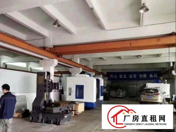  长巷免押金出租常平原房东3000平厂房300起可分租