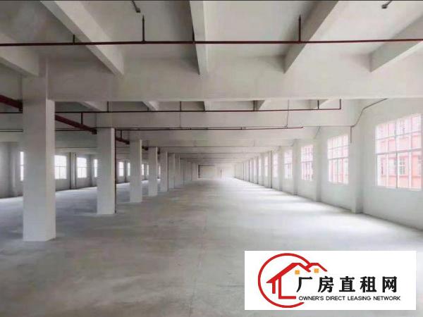  长巷免押金出租常平原房东3000平厂房300起可分租