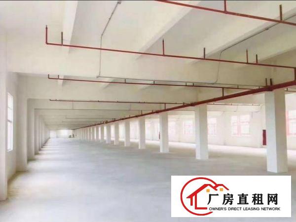  长巷免押金出租常平原房东3000平厂房300起可分租
