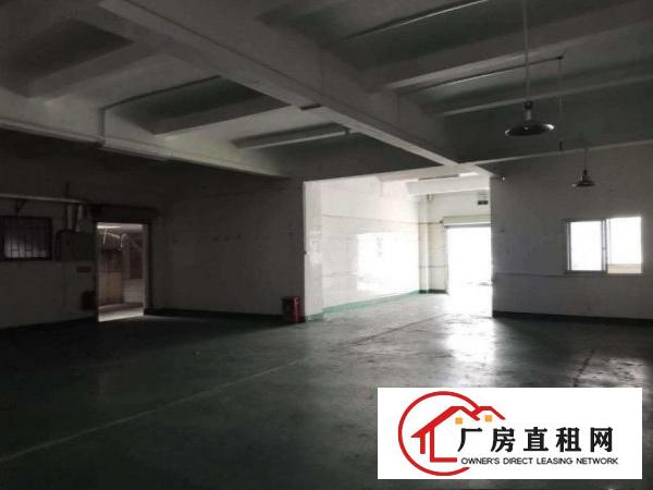  横沥张坑一楼650平厂房出租精装修地坪漆水电齐全