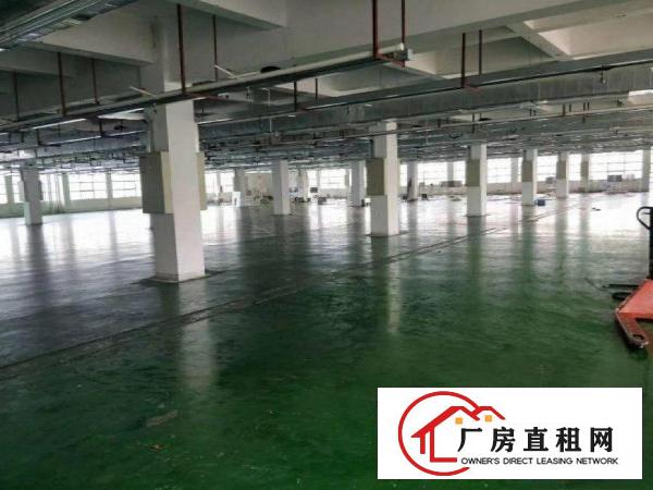  横沥水边新出原房东独门独院1000平厂房分租