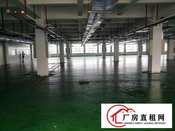  横沥水边新出原房东独门独院1000平厂房分租